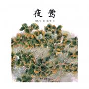 信谊世界精选图画书夜莺