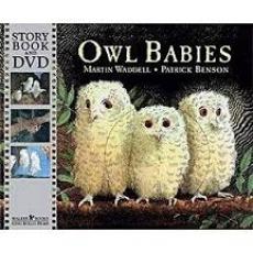 廖彩杏书单 : Owl Babies 小猫头鹰 Board Book