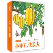 小种子，快长大  幼儿互动游戏书，神奇拉拉书 广受好评的视觉特效拉拉书《我长大了》系列作品